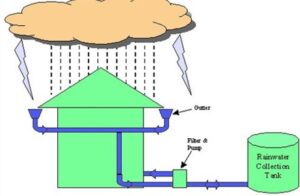 Rainwater Recapture Diagram